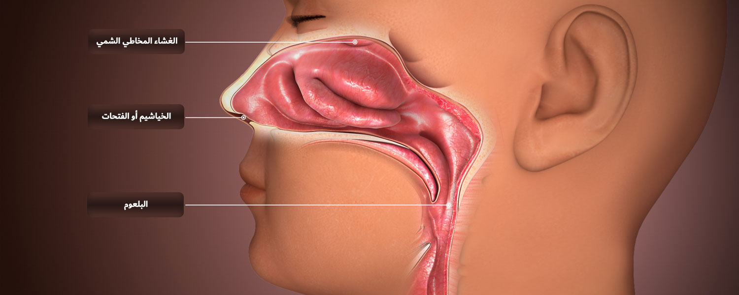 تجميل فتحات الأنف 5 تجميل فتحات الأنف